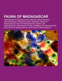 Fauna of Madagascar - Cover