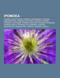 Ipomoea - Cover