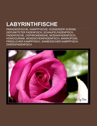 Labyrinthfische - Cover
