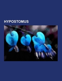 Hypostomus