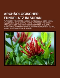 Archäologischer Fundplatz im Sudan