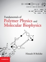 Fundamentals of Polymer Physics and Molecular Biophysics