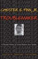 Troublemaker - Cover