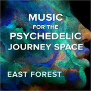 Music for the Psychedelic Journey Space