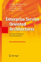Enterprise Service Oriented Architectures - Illustrationen 1