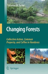 Changing Forests - Abbildung 1