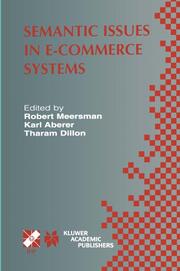 Semantic Issues in e-Commerce Systems