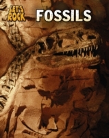 Fossils - Cover