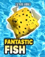 Fantastic Fish