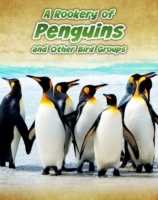 Rookery of Penguins