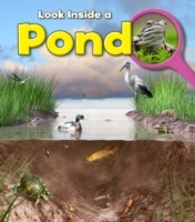 Pond - Cover