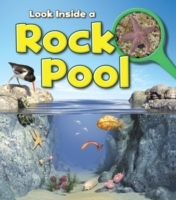 Rock Pool - Cover