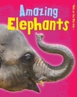 Amazing Elephants