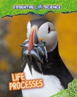 Life Processes - Cover