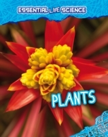 Plants - Cover