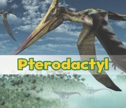 Pterodactyl - Cover
