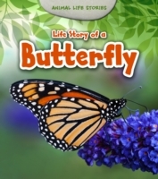 Life Story of a Butterfly