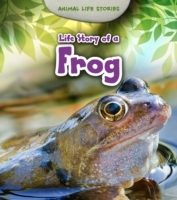 Life Story of a Frog