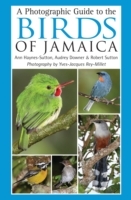 Photographic Guide to the Birds of Jamaica - Cover