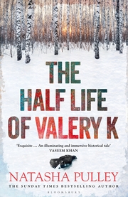 The Half Life of Valery K - Cover