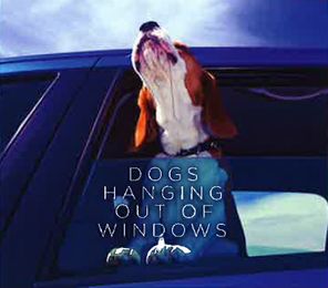 Dogs Hanging Out of Windows