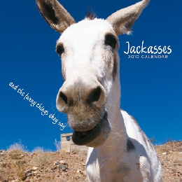 Jackasses - Cover