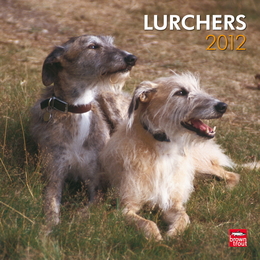 Lurchers 2012