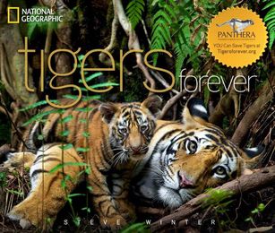 Tigers Forever - Cover