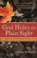 God Hides in Plain Sight - Cover