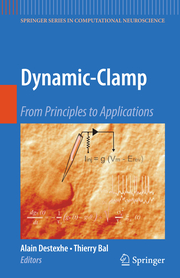 Dynamic-Clamp - Cover