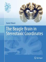 The Beagle Brian in Stereotaxic Coordinates