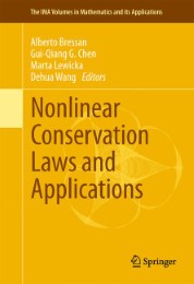 Nonlinear Conservation Laws and Applications - Abbildung 1
