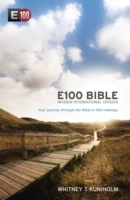 NIV E100 Bible