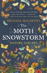 Moth Snowstorm - Cover