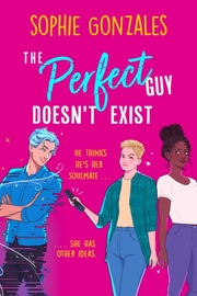 The Perfect Guy Doesn't Exist - Cover