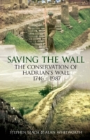 Saving the Wall