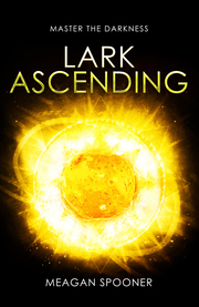 Lark Ascending - Cover