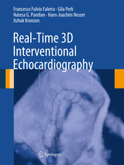 Real Time Three-Dimensional Interventional Echocardiography
