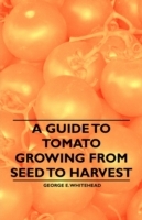 Guide to Tomato Growing from Seed to Harvest