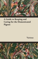 Guide to Keeping and Caring for the Domesticated Pigeon