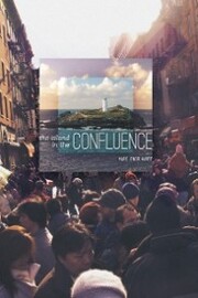 The Island in the Confluence - Cover