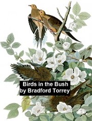 Birds in the Bush