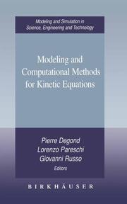 Modeling and Computational Methods for Kinetic Equations