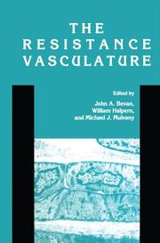 The Resistance Vasculature