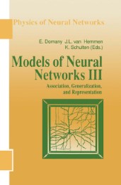 Models of Neural Networks III - Abbildung 1