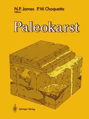 Paleokarst - Cover