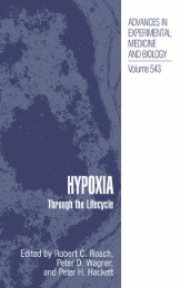 Hypoxia - Abbildung 1