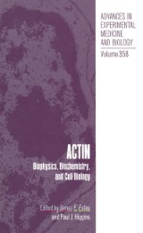 Actin - Abbildung 1