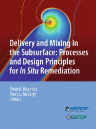Delivery and Mixing in the Subsurface - Abbildung 1