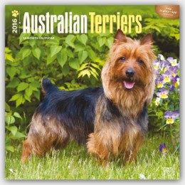 Australian Terriers 2016 - Cover